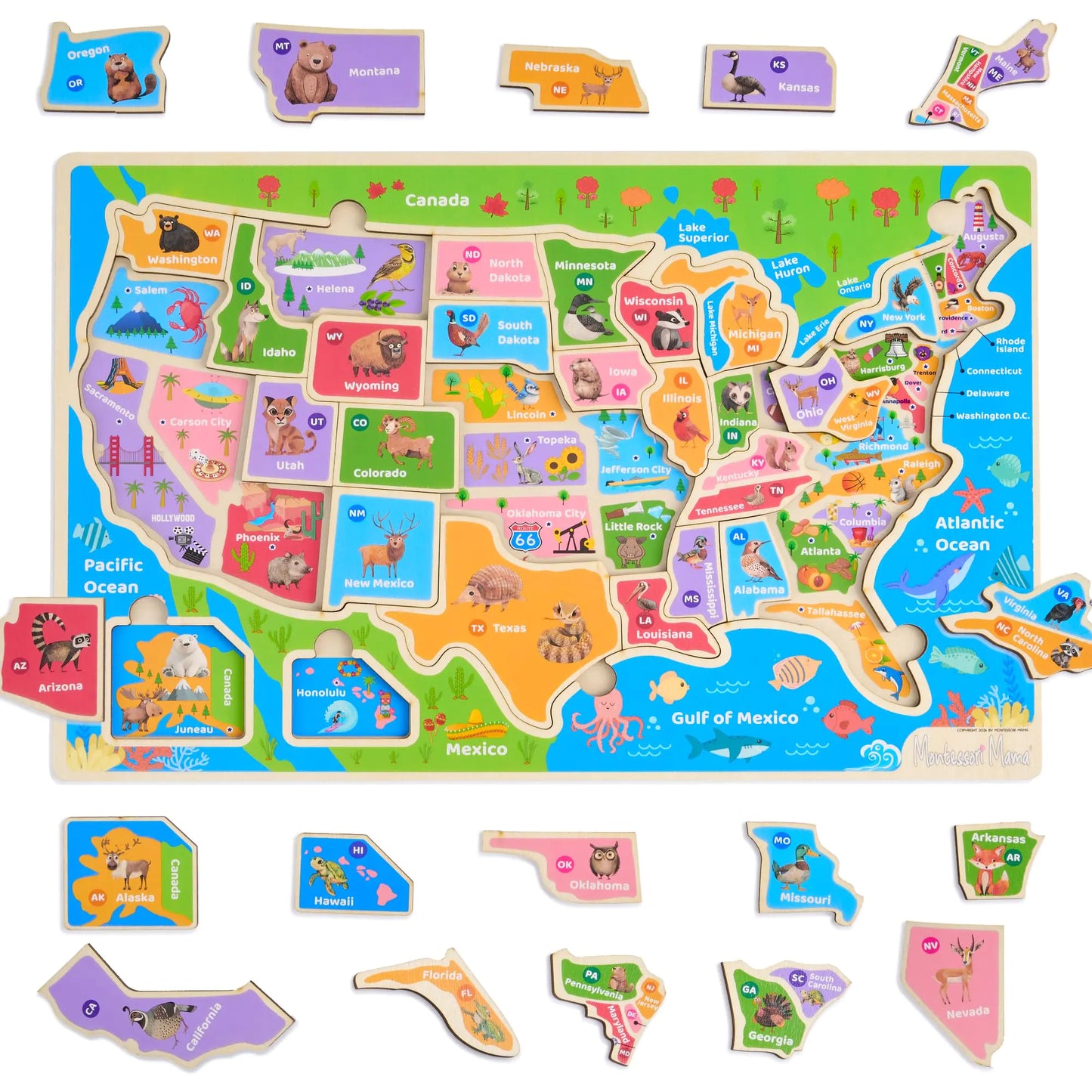 Montessori Mama Wooden USA Map Puzzle and World Continents and Oceans Map Puzzle (USA Map Puzzle)